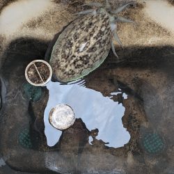 レンタルボートエンジョイ