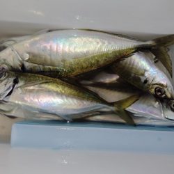 下降線もサイズアップ