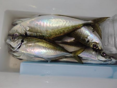 下降線もサイズアップ