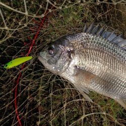 バイブレーションローテーション