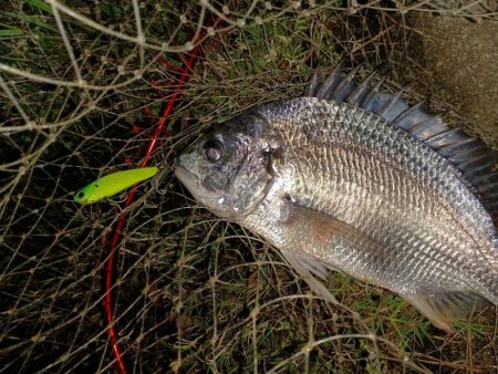 バイブレーションローテーション