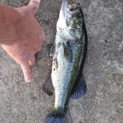 パワーフィネスで1本