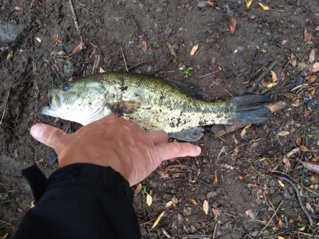 パワーフィネスで1本