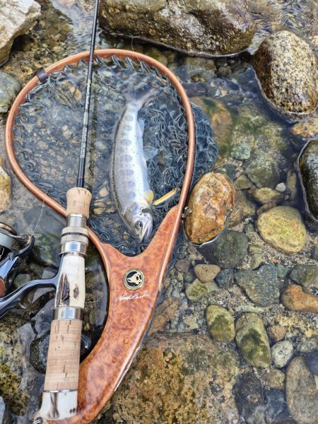 美人が出てくれました