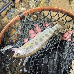 バラシ多すぎた、反省やな