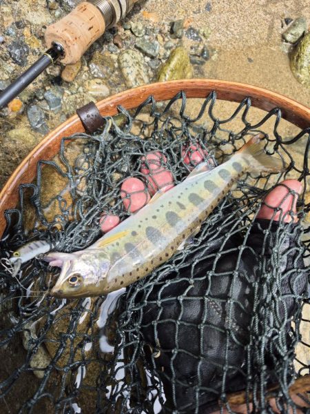 バラシ多すぎた、反省やな