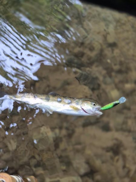 暴風なんで山へ