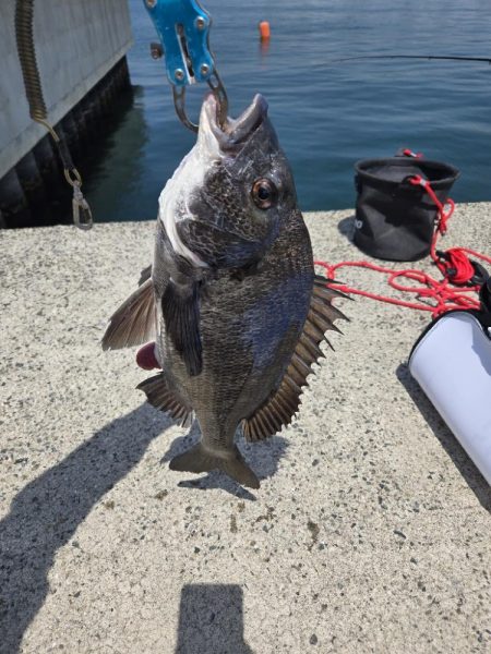 今年、初釣り✨️…