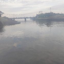 チニング＆エギング