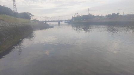 チニング＆エギング