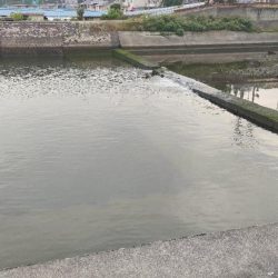 トップチニング