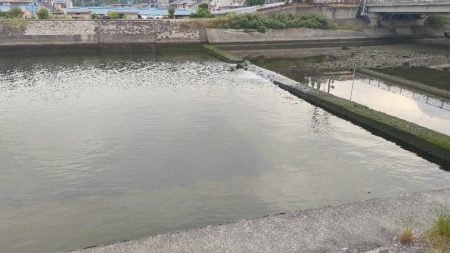 トップチニング