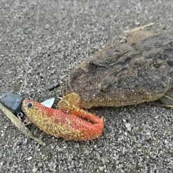 小さいけど1匹は1匹!