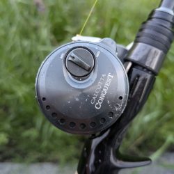 夕方短時間チニングでホゲかけた