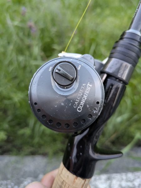 夕方短時間チニングでホゲかけた