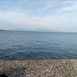 コトヒキ釣れました。