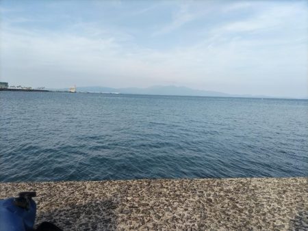 コトヒキ釣れました。