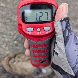 人混み様々キロ紋甲