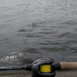 広島チニング！体力の限界笑