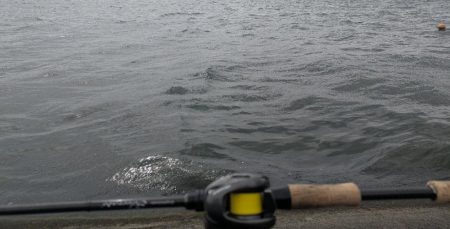 広島チニング！体力の限界笑