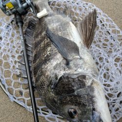 広島市内ランガンチニング