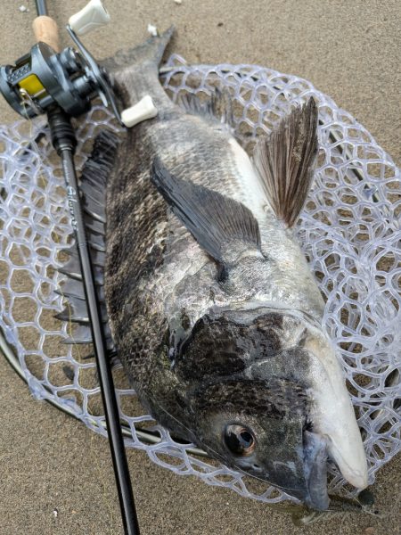 広島市内ランガンチニング