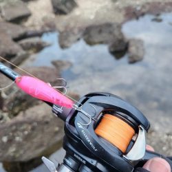 海寄りチニング