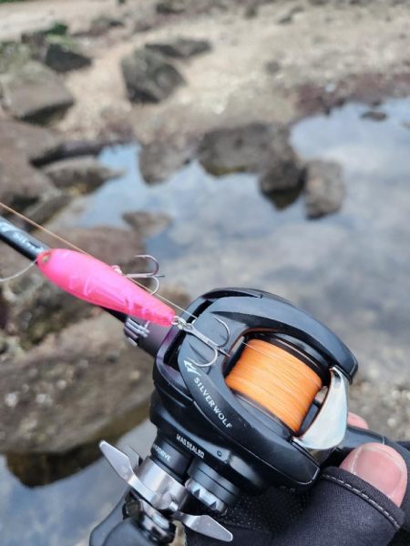 海寄りチニング