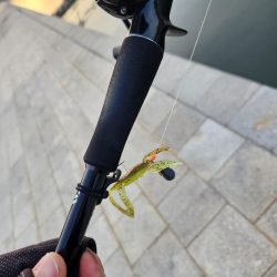 しごおわチニング