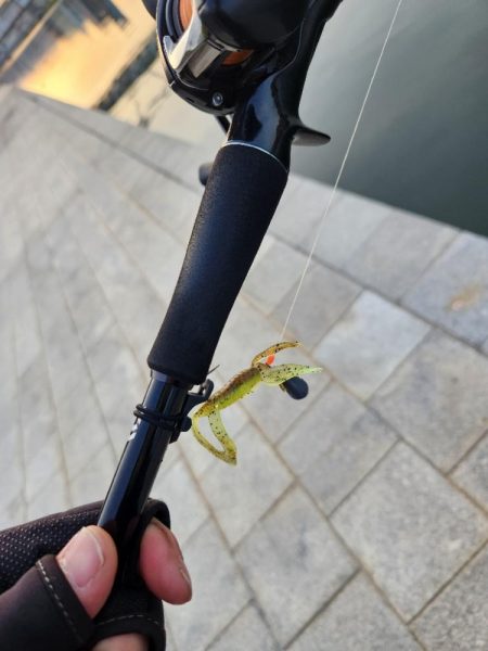 しごおわチニング