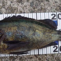 やはり場所なのか?