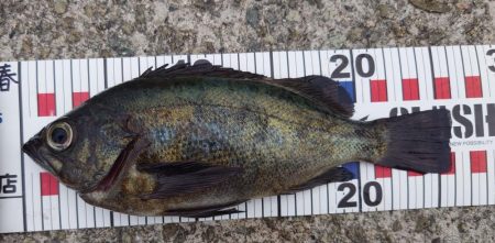 やはり場所なのか?