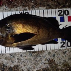 潮と場所は重要