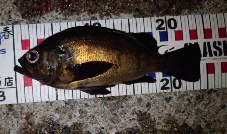 潮と場所は重要