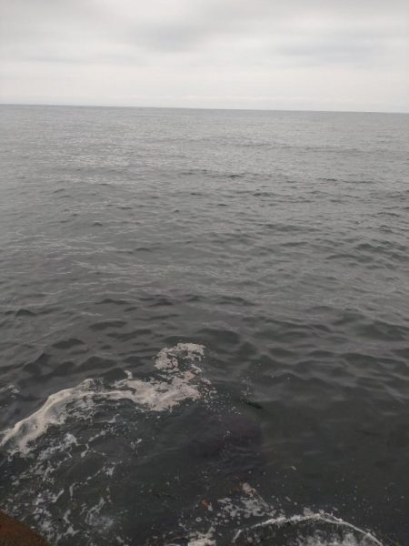 マゴチ1匹、バラシ2