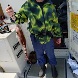 ファミリー鯛ラバ