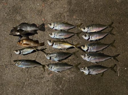 夜の短時間釣行