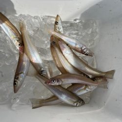 ＧＷにいろいろと巡ってみました