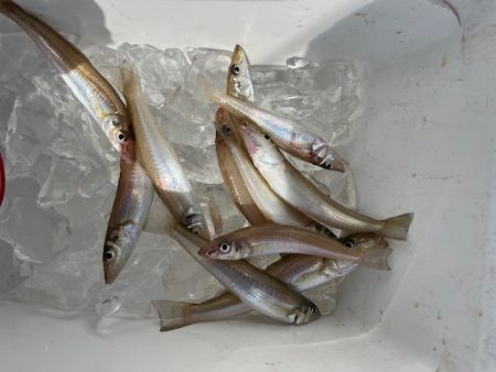 ＧＷにいろいろと巡ってみました