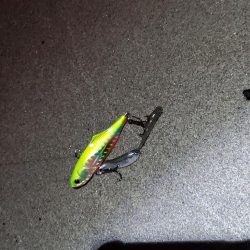 マイクロベイトチニングはバイブが面白い