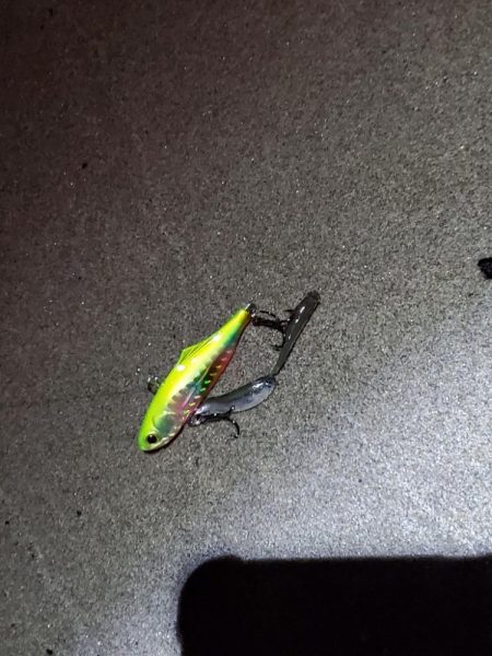 マイクロベイトチニングはバイブが面白い