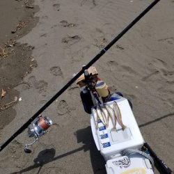 半年ぶりの釣行