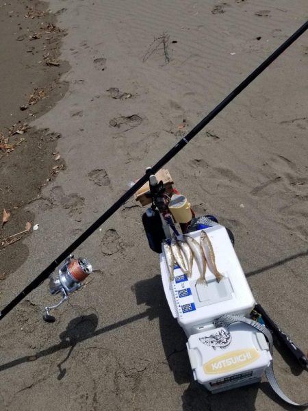 半年ぶりの釣行