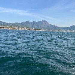 久しぶりにタコ釣りしてきました