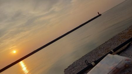 ぶっこみ釣りでコブダイ