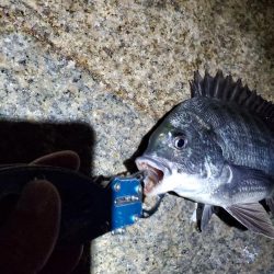 当たりもサイズもちっちゃいか～