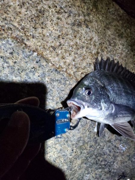 当たりもサイズもちっちゃいか～