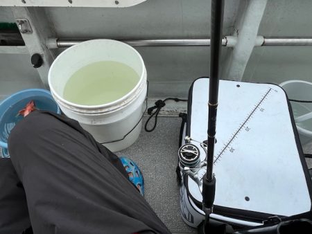 鹿児島錦江湾で1つテンヤのタイ釣りしてきました