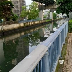 まさか！！こんなところで天然うなぎ！