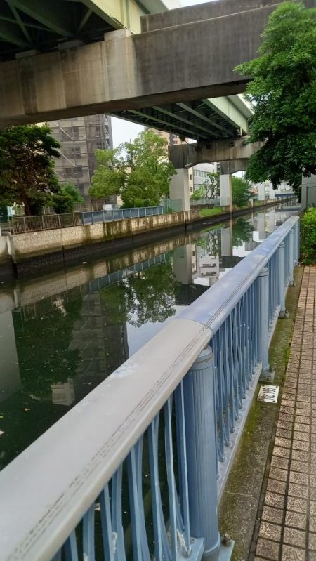 まさか！！こんなところで天然うなぎ！